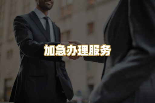 加急办理服务