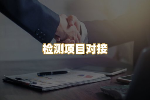 检测项目对接